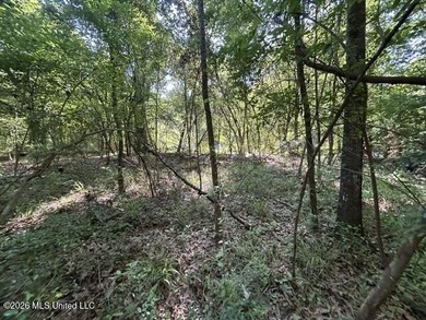This secluded 9.88-acre property in Wilkinson County adjoining - photo 10