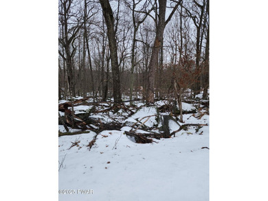 Robinson Lake Lot For Sale in Tafton Pennsylvania