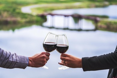 Monique Flora, The Wells Group of Durango, LLC, C: , monique,  :