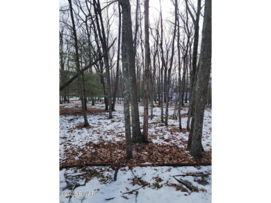 Lake Lot For Sale in Tafton, Pennsylvania