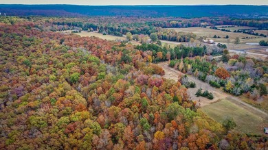Eagle Ridge Rd. Lots for sale with underground utilities already - photo 27