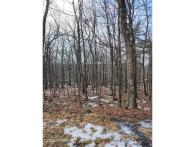 Lake Lot For Sale in Tafton, Pennsylvania