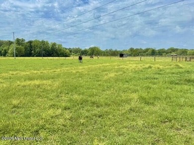 Welcome to Walnut Creek Farm - 840 I-55 South Frontage Road - photo 2