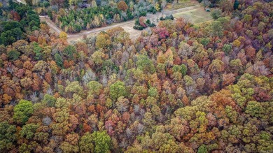 Eagle Ridge Rd. Lots for sale with underground utilities already - photo 33