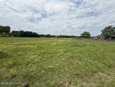 Welcome to Walnut Creek Farm - 840 I-55 South Frontage Road - photo 3