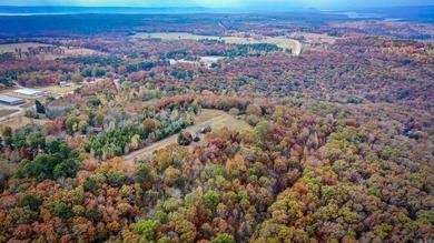 Eagle Ridge Rd. Lots for sale with underground utilities already - photo 34