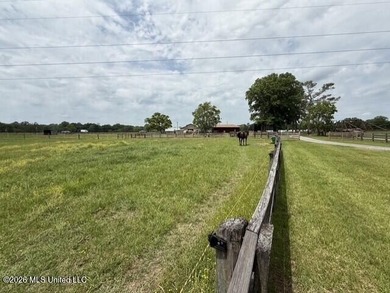 Welcome to Walnut Creek Farm - 840 I-55 South Frontage Road - photo 4