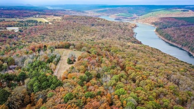 Eagle Ridge Rd. Lots for sale with underground utilities already - photo 35