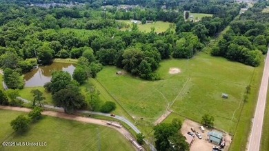 Welcome to Walnut Creek Farm - 840 I-55 South Frontage Road - photo 6