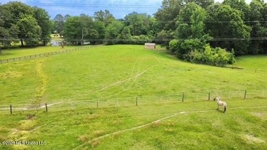 Welcome to Walnut Creek Farm - 840 I-55 South Frontage Road - photo 9