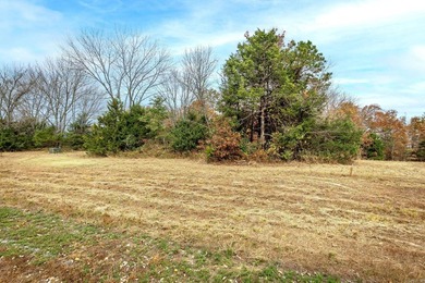 Eagle Ridge Rd. Lots for sale with underground utilities already - photo 44