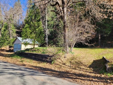 (private lake, pond, creek) Lot For Sale in Dunsmuir California