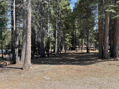 Lake Almanor Lot For Sale in Lake Almanor California