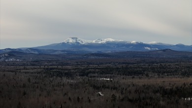 (private lake, pond, coastal) Acreage For Sale in Mount Chase Maine