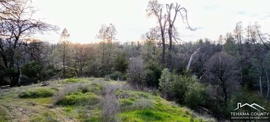 (private lake, pond, creek) Acreage For Sale in Cottonwood California