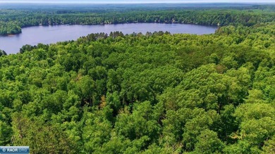 27 Acres on Lake Leander with 50' of lakeshore. Lot A is 3 acres - photo 8