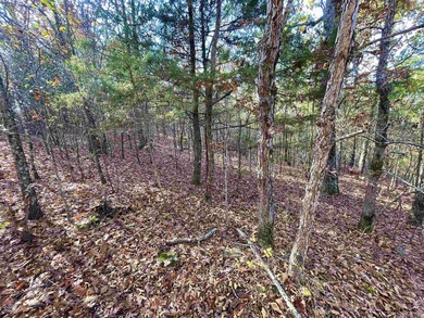 Eagle Ridge Rd. Lots for sale with underground utilities already - photo 11