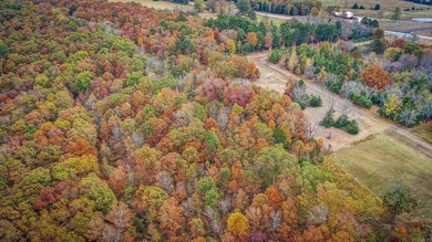 Eagle Ridge Rd. Lots for sale with underground utilities already - photo 21
