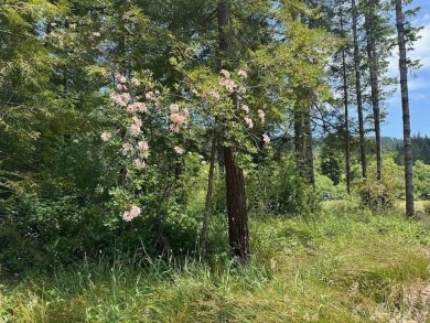 Smith River Home For Sale in Crescent City California