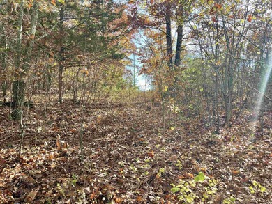 Eagle Ridge Rd. Lots for sale with underground utilities already - photo 23