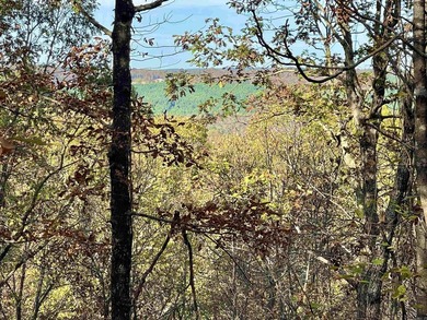 Eagle Ridge Rd. Lots for sale with underground utilities already - photo 29