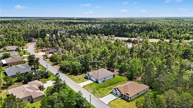 Experience the perfect blend of elegance, comfort, and Florida - photo 29