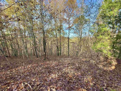 Eagle Ridge Rd. Lots for sale with underground utilities already - photo 32