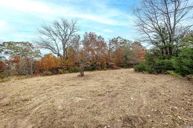 Eagle Ridge Rd. Lots for sale with underground utilities already - photo 47