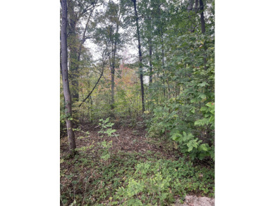 Lake Lot ActiveUnderContr in Whitmore Lake, Michigan