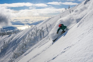 Welcome to Crystal View at Schweitzer! A truly unrivaled - photo 30