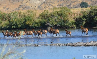 Farm, play, and live on 360 acres that border the Weiser River - photo 31