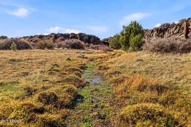 Lake Acreage For Sale in Greer, Arizona