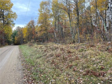 Crystal Lake - Hubbard County Acreage For Sale in Akeley Minnesota
