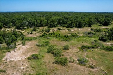 Prime undeveloped land located near several neighborhoods - photo 12