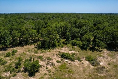 Prime undeveloped land located near several neighborhoods - photo 13