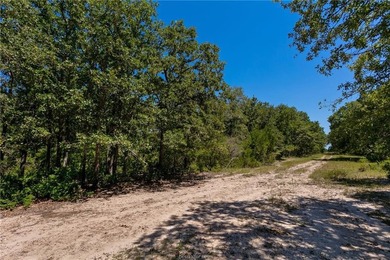 Prime undeveloped land located near several neighborhoods - photo 22