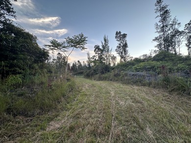Beautiful 6-Acre Property with Dual TMKs 3-1-6-18-10 and 11 - photo 22