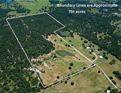 Prime undeveloped land located near several neighborhoods - photo 24