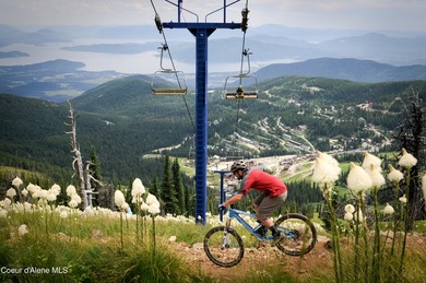 Welcome to Crystal View at Schweitzer! A truly unrivaled - photo 31