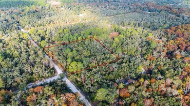 Withlacoochee River Acreage For Sale in Webster Florida