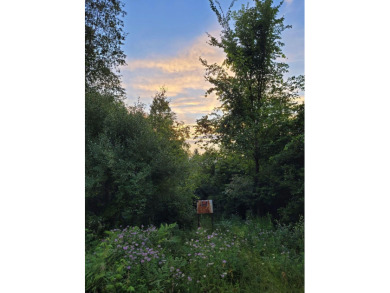 Lake Miramichi  Acreage For Sale in Evart Michigan