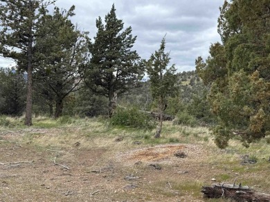 Lake Lot For Sale in Weed, California