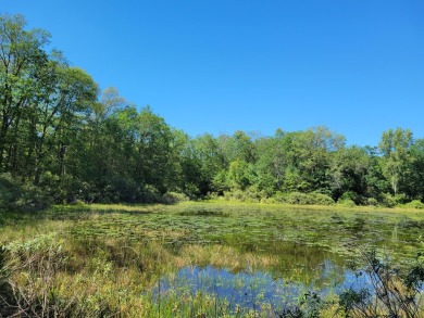 (private lake, pond, creek) Lot For Sale in Wellston Michigan