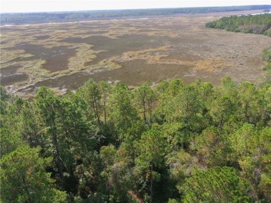 (private lake, pond, creek) Lot For Sale in White Oak Georgia