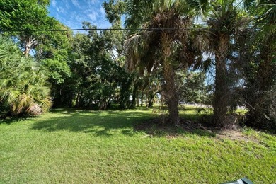 RARE OPPORTUNITY! Nestled in the heart of Dunedin, almost 3/4 of - photo 13