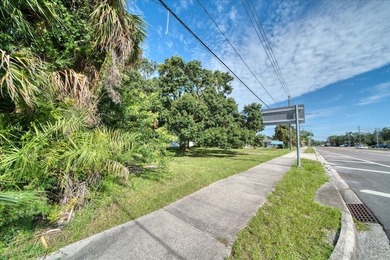 RARE OPPORTUNITY! Nestled in the heart of Dunedin, almost 3/4 of - photo 14