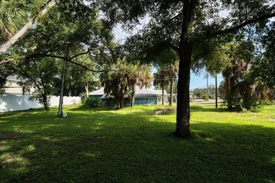 RARE OPPORTUNITY! Nestled in the heart of Dunedin, almost 3/4 of - photo 20