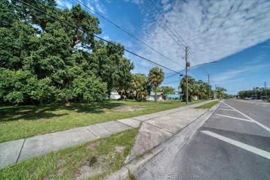 RARE OPPORTUNITY! Nestled in the heart of Dunedin, almost 3/4 of - photo 21