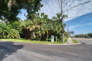 RARE OPPORTUNITY! Nestled in the heart of Dunedin, almost 3/4 of - photo 22