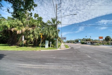 RARE OPPORTUNITY! Nestled in the heart of Dunedin, almost 3/4 of - photo 23